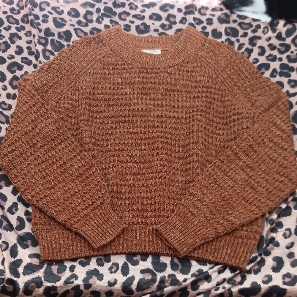 Universal Thread Rust Knit Sweater